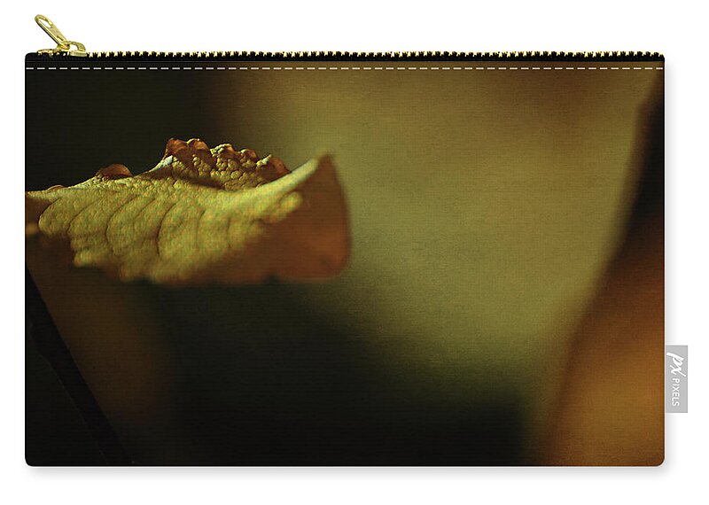 Conceptual Zip Pouch featuring the photograph Holy Grail by Rebecca Sherman