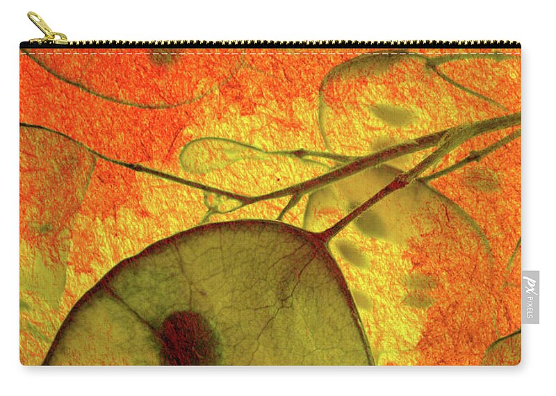 Money Zip Pouch featuring the photograph Honesty VII by Char Szabo-Perricelli