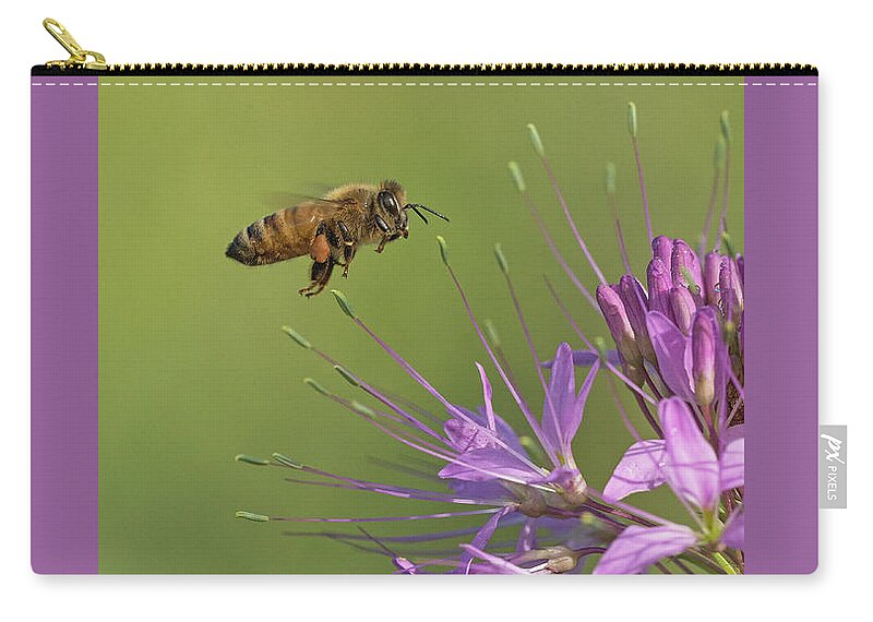 Apis Mellifera Linguistica Zip Pouch featuring the photograph Honey Bee at Work by Jim Zablotny