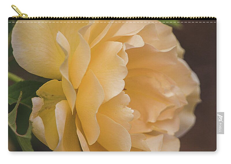 Flower Zip Pouch featuring the photograph Honey Perfume Rose Vertical by Teresa Wilson