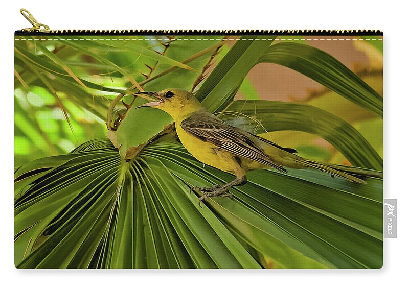 Myhaver Photography Zip Pouch featuring the photograph Hooded Oriole h01 by Mark Myhaver