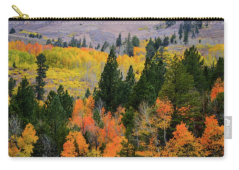 Hope Valley Zip Pouch featuring the photograph Hope Valley Cabin by Steph Gabler
