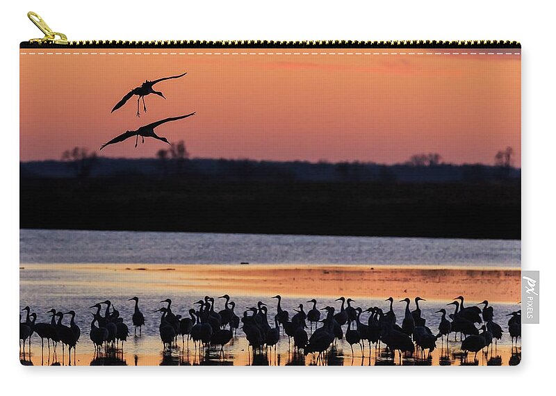 Birds Zip Pouch featuring the photograph Horicon Marsh Cranes #5 by Paul Schultz