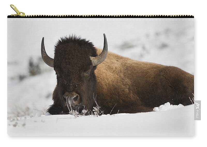 Winter Zip Pouch featuring the photograph Horn of Plenty by Bill Cubitt