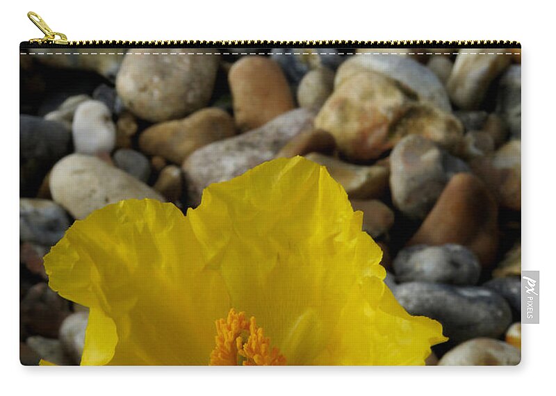 Horned Poppy Zip Pouch featuring the photograph Horned Poppy and Pebbles by John Topman