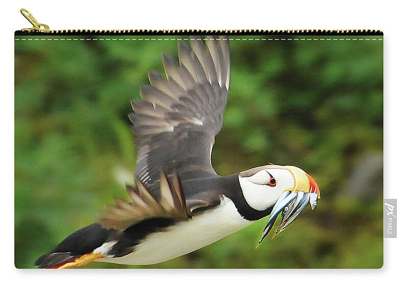 Puffin Carry-all Pouch featuring the photograph Horned Puffin by Ted Keller