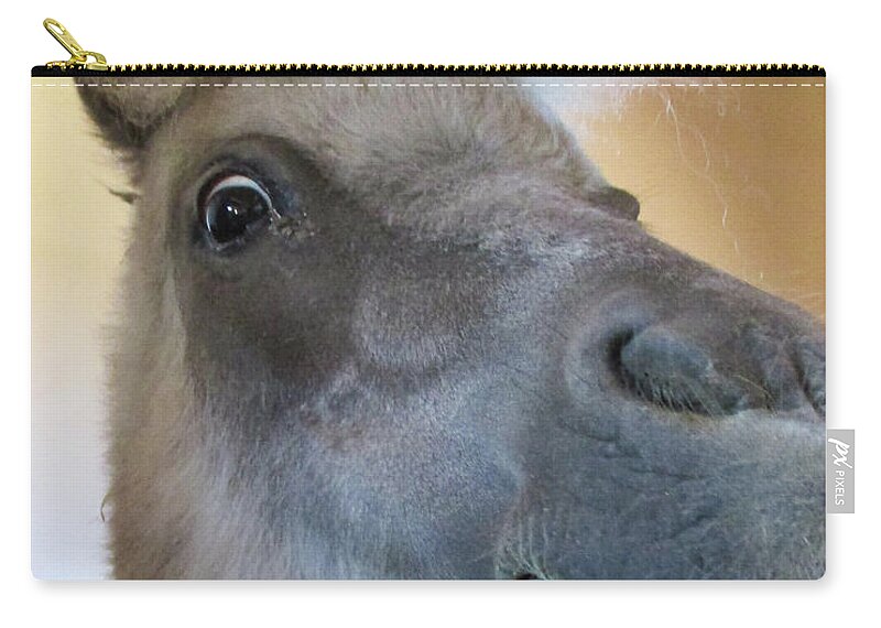 Horse Zip Pouch featuring the photograph Horse 11 by Christy Garavetto