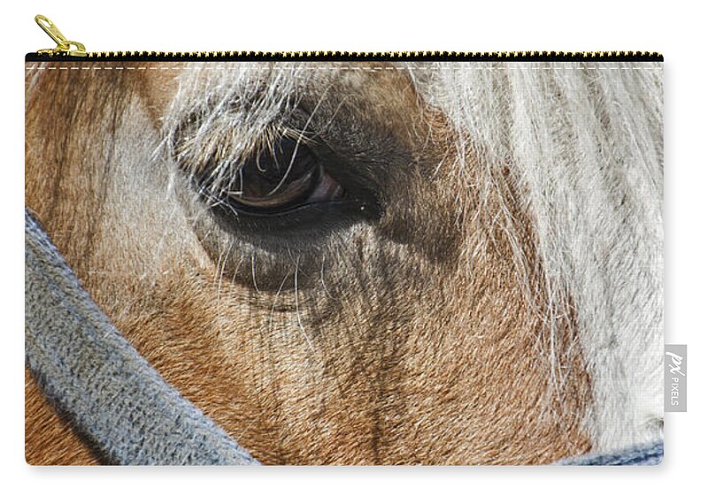Horse Zip Pouch featuring the photograph Horse Close Up by Bob Slitzan