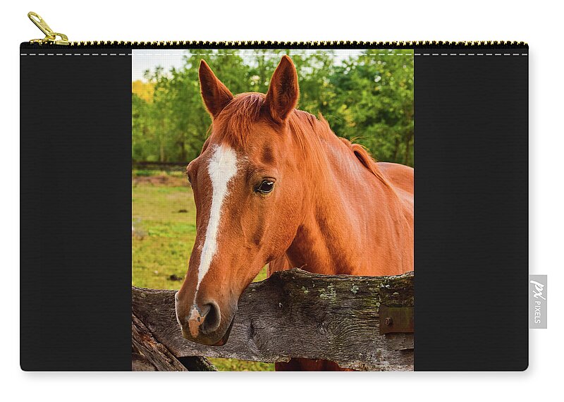 Horse Carry-all Pouch featuring the photograph Horse Friends by Nicole Lloyd