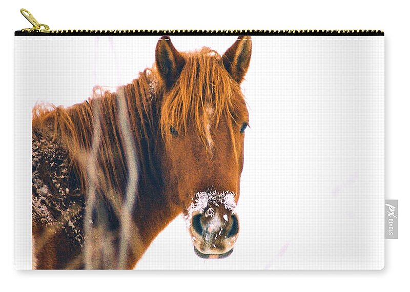 Horse Carry-all Pouch featuring the photograph Horse in winter by Steve Karol