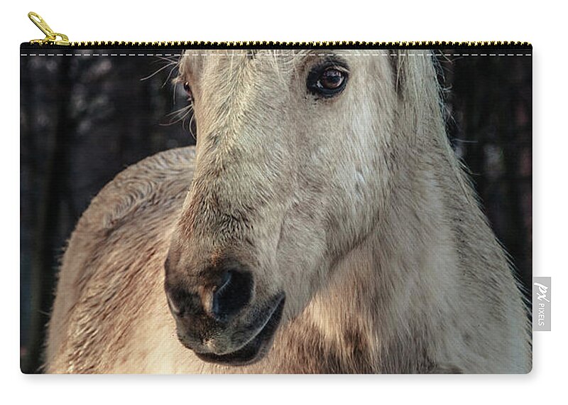Animal Zip Pouch featuring the photograph Horse portrait by Tim Abeln