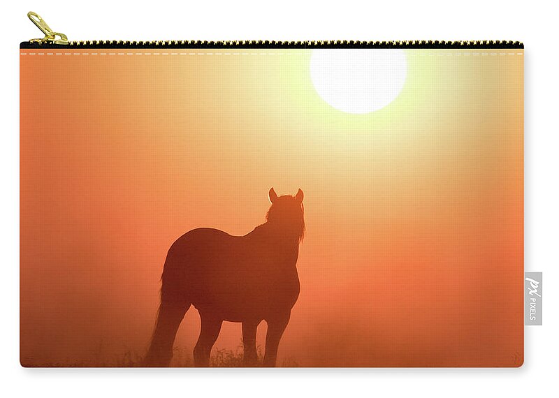 Silhouette Carry-all Pouch featuring the photograph Horse Silhouette by Wesley Aston