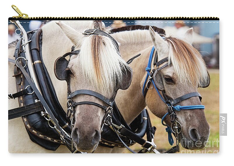 Horse Progress Days Zip Pouch featuring the photograph Horses at Progress Days by David Arment