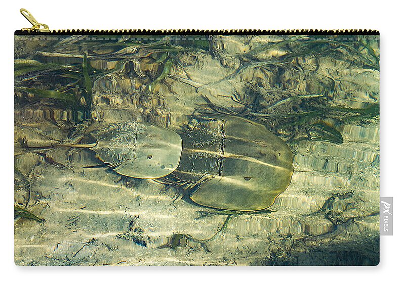 Ocean Zip Pouch featuring the photograph Horseshoe Crabs by Bob Slitzan