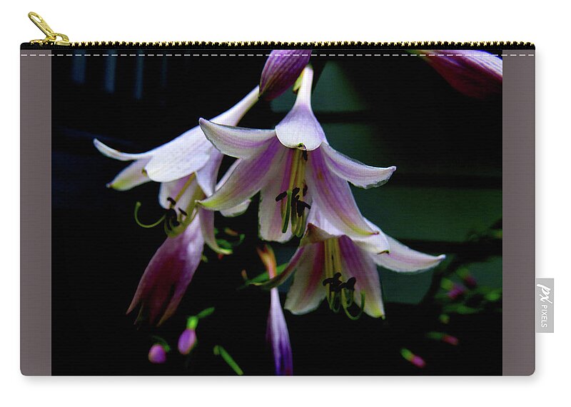 Purple Blossoms Carry-all Pouch featuring the photograph Hostas Blossoms by Linda Stern