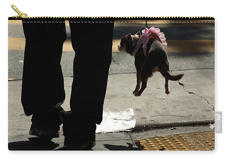 Dog Zip Pouch featuring the photograph Hot Dog by J C