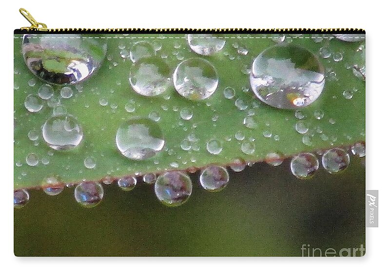 Water Zip Pouch featuring the photograph How Many Raindrops Can A Leaf Holds. by Kim Tran