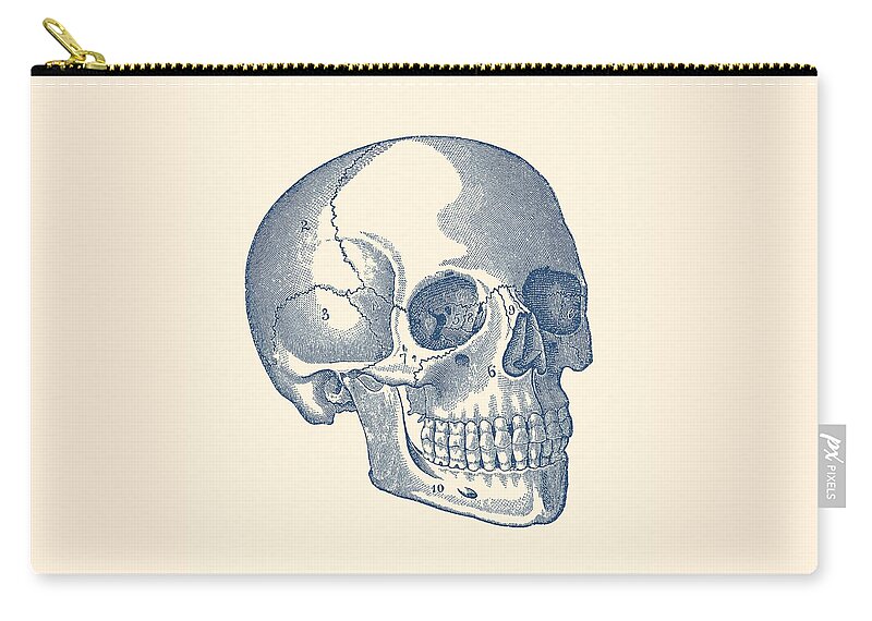 Skeleton Zip Pouch featuring the drawing Human Skull Diagram - Vintage Anatomy Print by Vintage Anatomy Prints