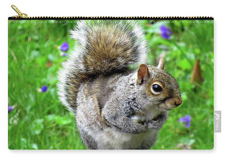 Eastern Grey Squirrels Carry-all Pouch featuring the photograph Humble Squirrel by Linda Stern