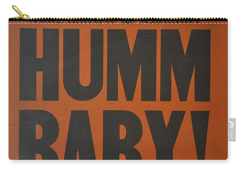 Newspaper Zip Pouch featuring the photograph Humm Baby Examiner by Jay Milo