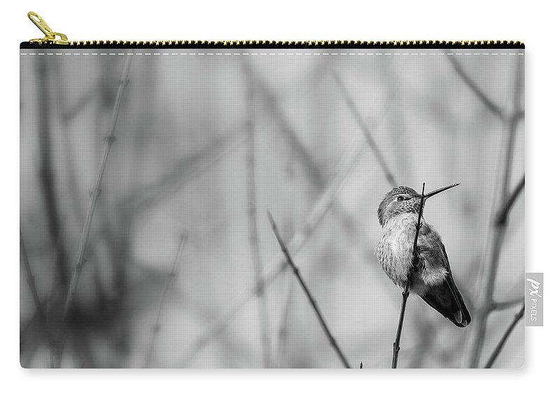 Nature Zip Pouch featuring the photograph Humming Bird BW 2 by Jonathan Nguyen