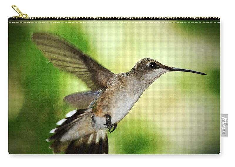 Hummingbird Zip Pouch featuring the photograph Hummingbird 04 - 9-13 by Barry Jones