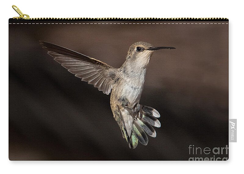 Hummingbird Zip Pouch featuring the photograph Hummingbird Aerobatics by Lisa Manifold