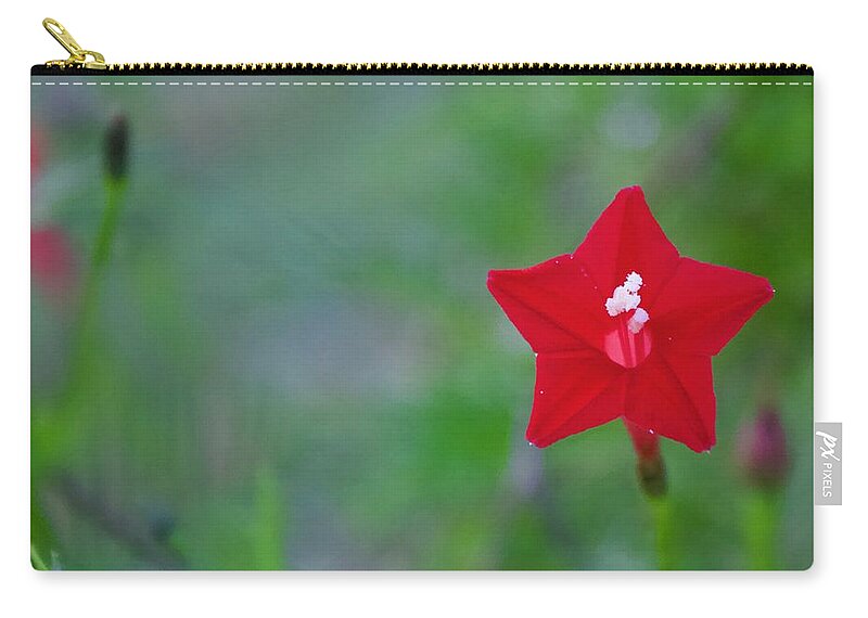 Photograph Zip Pouch featuring the photograph Hummingbird Bait by M E