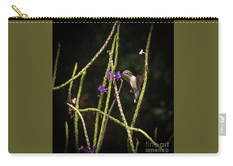 Hummingbird Zip Pouch featuring the photograph Hummingbird by Barry Bohn