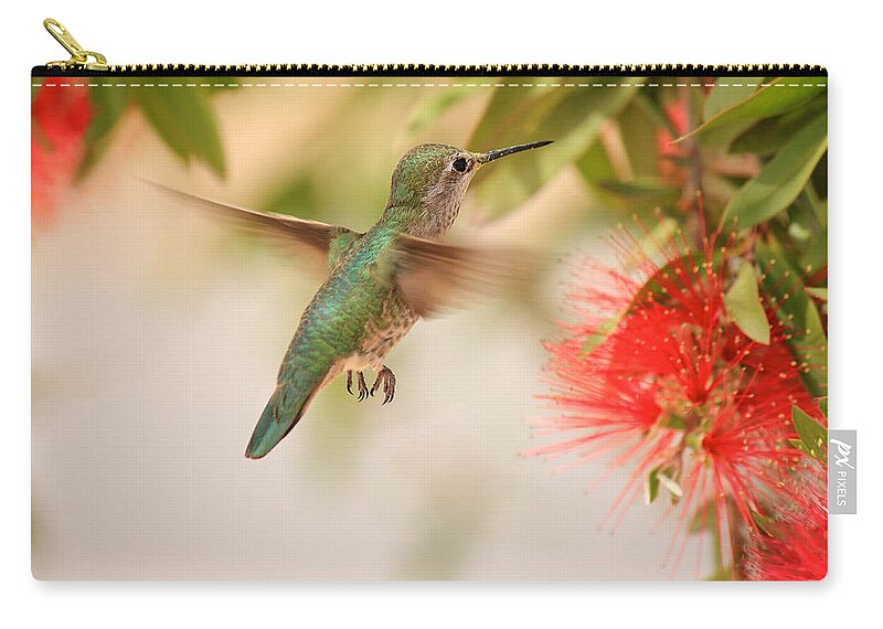 Hummingbird Zip Pouch featuring the photograph Hummingbird in Paradise by Penny Meyers