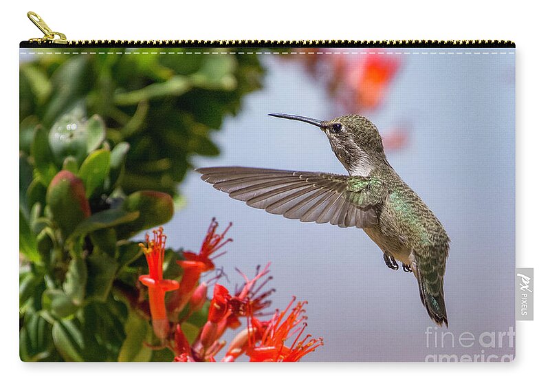 Hummingbird Zip Pouch featuring the photograph Hummingbird in the Ocotillo by Lisa Manifold