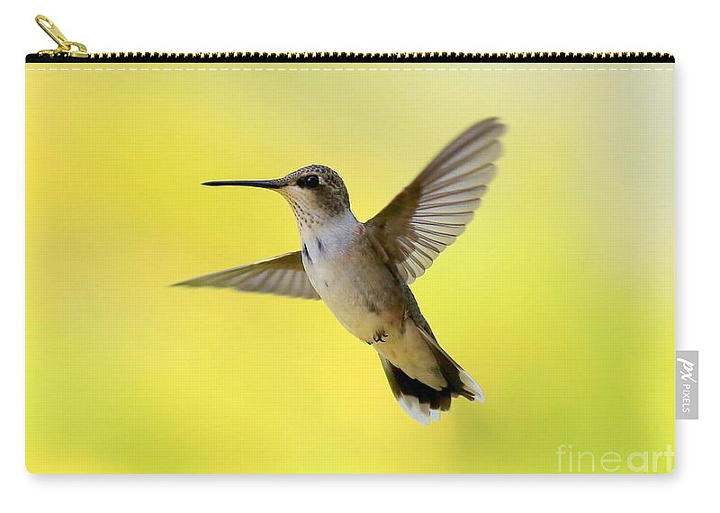 Hummingbird Zip Pouch featuring the photograph Hummingbird in Yellow by Carol Groenen