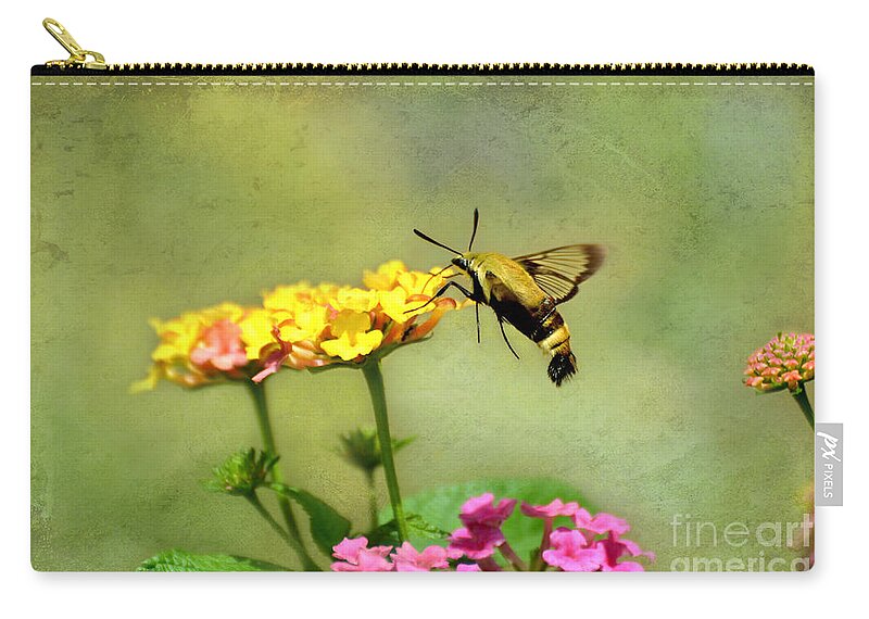 Moth Zip Pouch featuring the photograph Hummingbird Moth 2 by Debbie Portwood