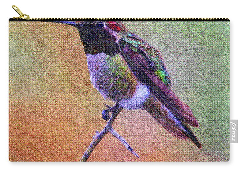 Hummingbird Zip Pouch featuring the photograph Hummingbird On A Stick by Tom Janca