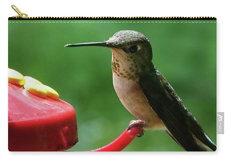 Birds Zip Pouch featuring the photograph Hummingbird Takes a Break by Mark Alan Perry