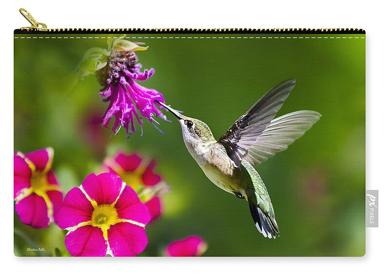Hummingbird Zip Pouch featuring the photograph Hummingbird with Flower by Christina Rollo