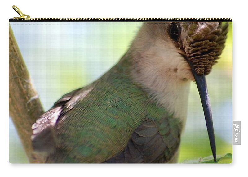Hummingbird Carry-all Pouch featuring the photograph Hummingbird with small nest by Amy Fose