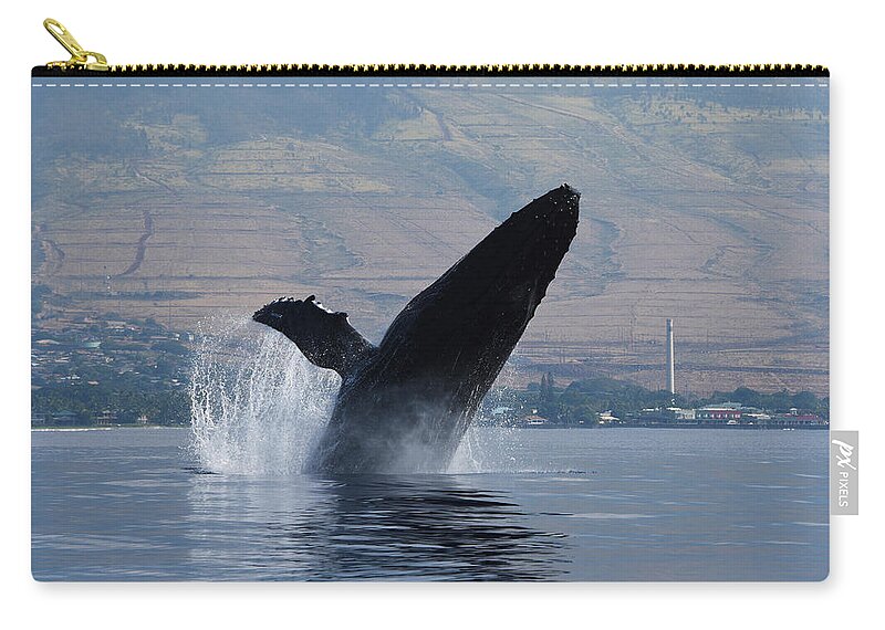 Humpback Zip Pouch featuring the photograph Humpback Whale Breach by Jennifer Ancker