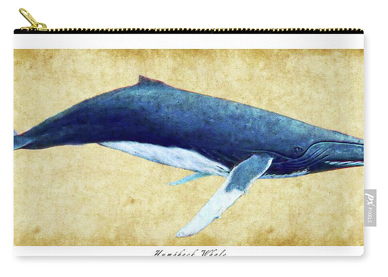 Humpback Zip Pouch featuring the photograph Humpback Whale painting - framed by Weston Westmoreland