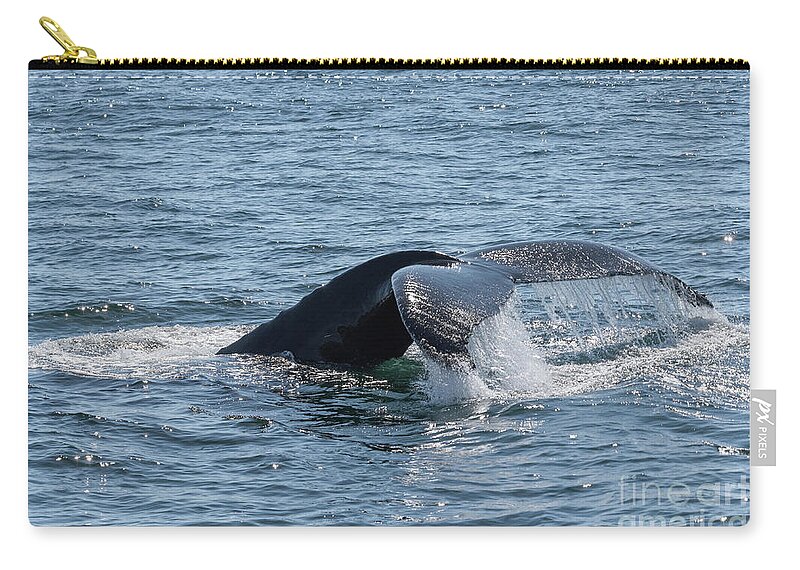 Humpback Zip Pouch featuring the photograph Humpback Whale Tail 6 by Lorraine Cosgrove