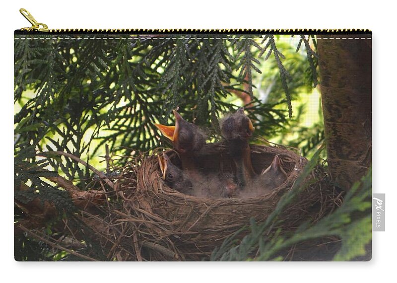 Featured Carry-all Pouch featuring the photograph Hungry Babies by Stacie Siemsen