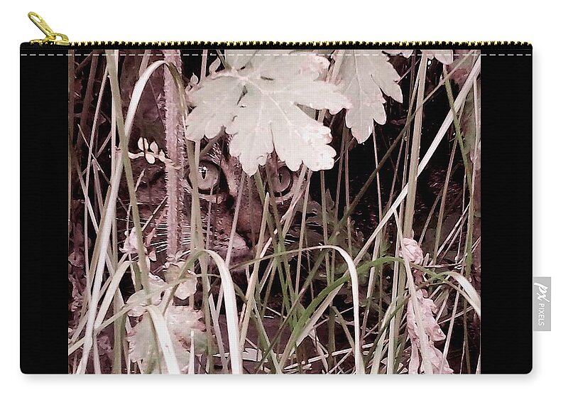 Cat Zip Pouch featuring the photograph Huntress by Danielle R T Haney