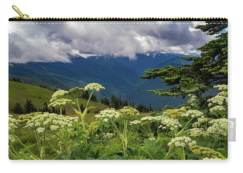 Hurricane Ridge Zip Pouch featuring the photograph Hurricane Ridge Wildflowers and Clouds by Roslyn Wilkins