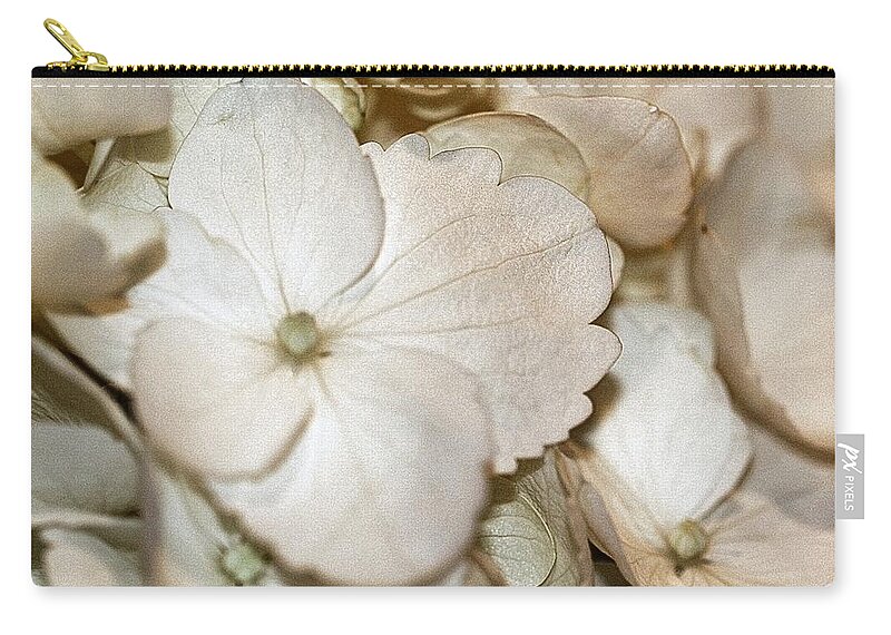 Hydrangea Zip Pouch featuring the photograph Hydrangea Blossom in Sepia Tones by Andrea Lazar