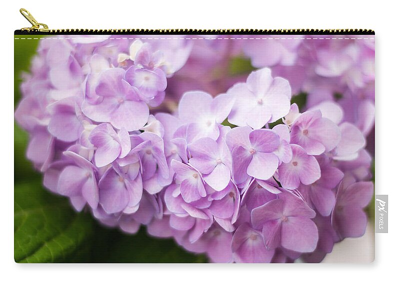 Hydrangea Zip Pouch featuring the photograph Hydrangea in Purple by Parker Cunningham