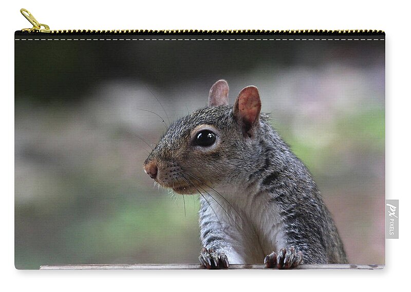 Squirrel Zip Pouch featuring the photograph I Am Back for More Nuts by Trina Ansel
