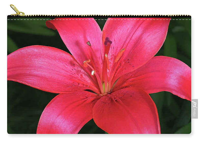 Lily Zip Pouch featuring the photograph Red I Am Here For You by Johanna Hurmerinta
