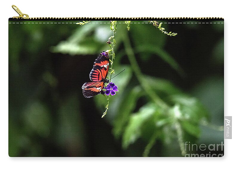 Cincinnati Zoo Zip Pouch featuring the photograph I feel lonely by Ed Taylor