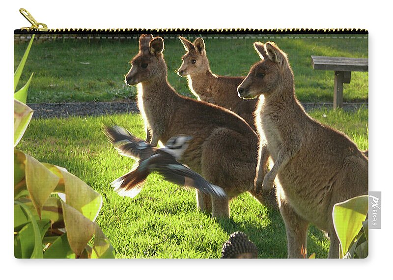 Kangaroo Zip Pouch featuring the photograph I Fly To You by Evelyn Tambour
