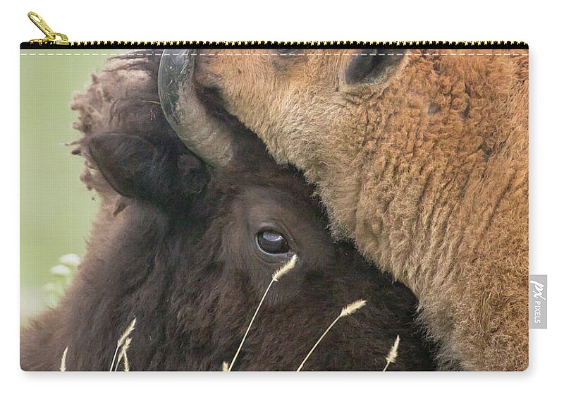 Bison Zip Pouch featuring the photograph I Love My Mom by Jack Bell